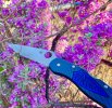 2DD28B0E-AE85-4AEC-A7C7-524F58C4B24D.jpeg