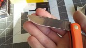 20240826_094410.jpg 20240826_094410.jpg