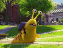 IMG_5095.gif