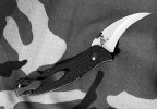 IMG_8898.jpeg