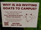 goatsign2.jpg