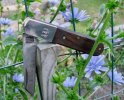hhb2.mark.Vstand.lettuceblossoms.jpg