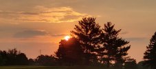 20240828_064920.jpg