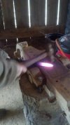2013-03-02_13-28-55_247.jpg