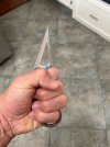 IMG_3694.jpeg