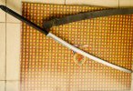 IMG_0682.jpeg