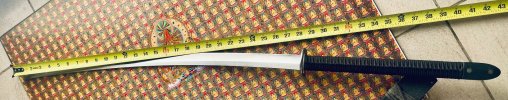 IMG_0683.jpeg