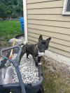 IMG_6263.jpeg
