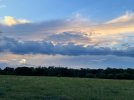 IMG_8875.jpeg