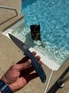 IMG_1074.jpeg