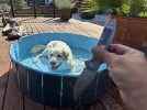 IMG_3007.jpeg