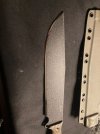 IMG_4873.jpeg