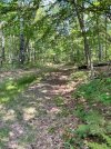 IMG_7971.jpeg