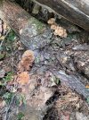 IMG_7967.jpeg