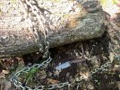IMG_9310.jpeg