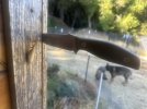 IMG_8061.jpeg