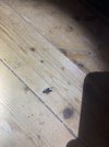 IMG_8587.jpeg