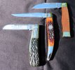 2024-09-06 NKD Bulldog Wendall Carson Trestle Pines.JPG