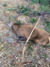 IMG_2289.jpeg