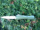 IMG_3492.jpeg