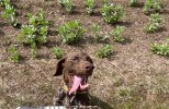 IMG_5285.jpeg