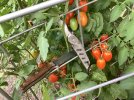 IMG_1072.jpeg