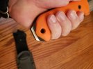 20240910_075615.jpg