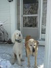 20140216_094234.jpg