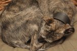 700_2052.jpg