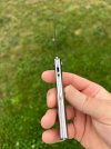 IMG_4940.jpeg