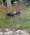 IMG_0789.jpeg