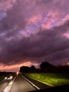 IMG_5912.jpeg