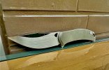 IMG_9375.jpeg