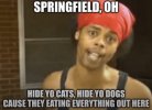 IMG_2622.jpeg