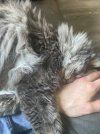 IMG_8801.jpeg