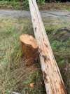 IMG_0514.jpeg