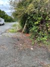 IMG_0510.jpeg
