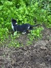 IMG_8821.jpeg