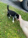 IMG_8826.jpeg