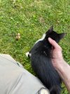 IMG_8827.jpeg