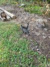 IMG_8825.jpeg