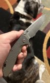 IMG_7196.jpeg