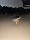 IMG_3992.jpeg