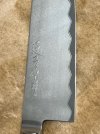 IMG_1420.jpeg
