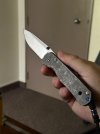 IMG_7895.jpeg