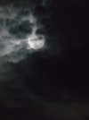 20240917_205541.jpg