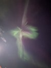PXL_20240917_085323615.NIGHT.jpg