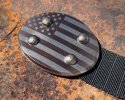 USFlag-Frenzy01.jpg