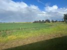 IMG_5383.jpeg