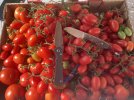 IMG_1086.jpeg